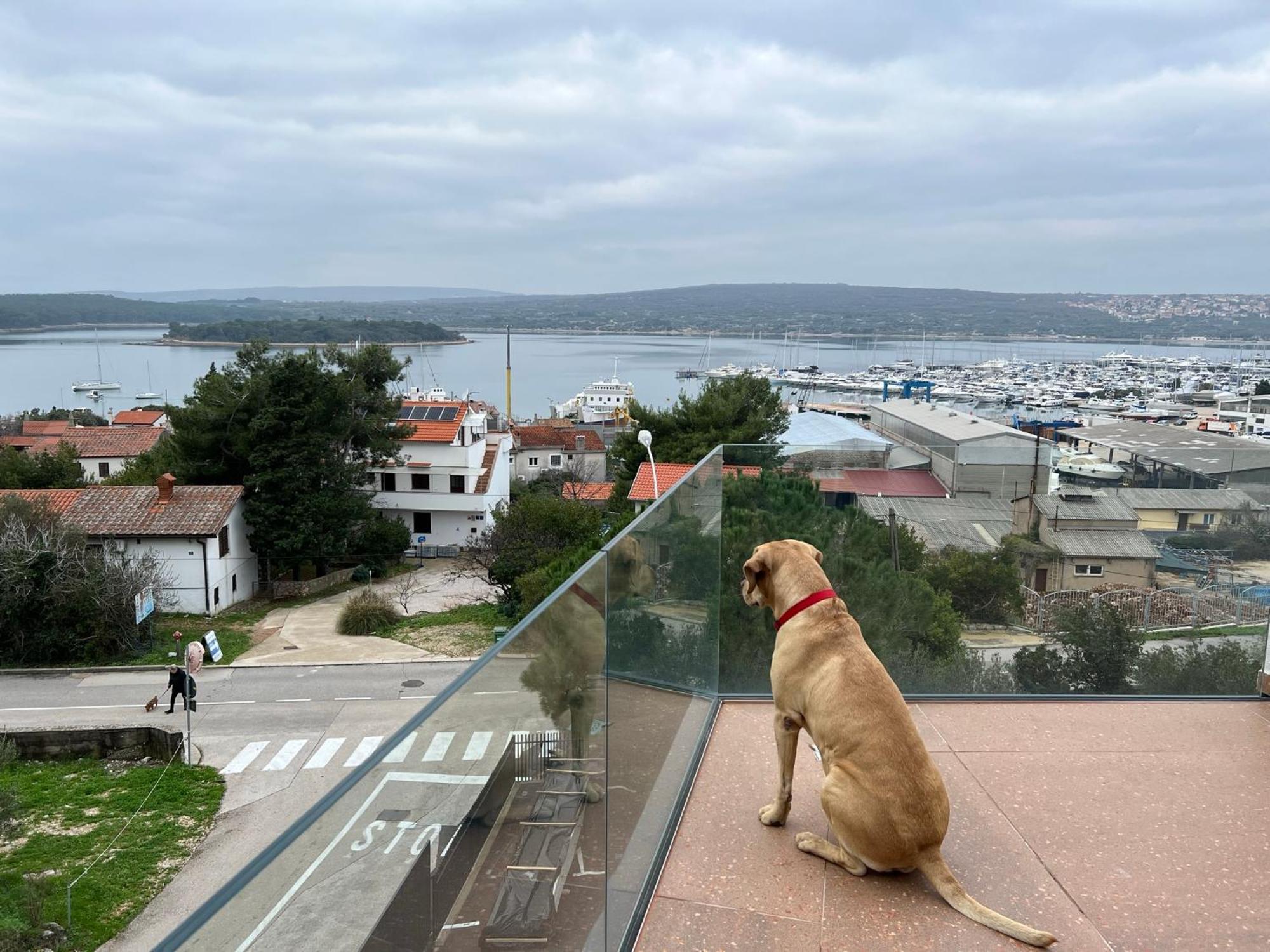 Panorama Penthouse Punat Buitenkant foto