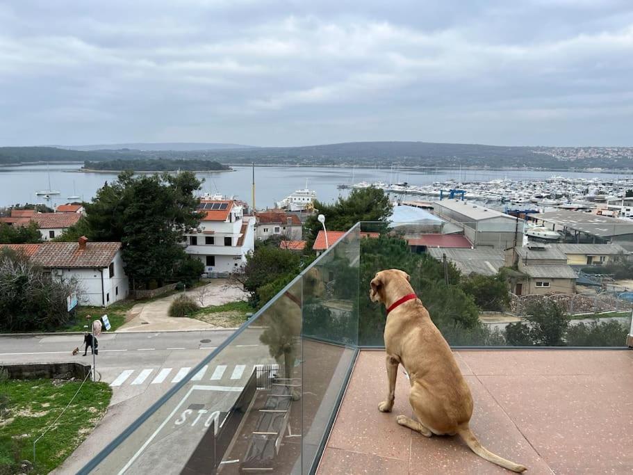 Panorama Penthouse Punat Buitenkant foto